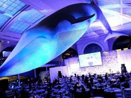 Conservation International Gala and E2K Events and Entertainment